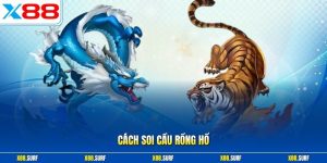 Cách soi cầu Rồng Hổ